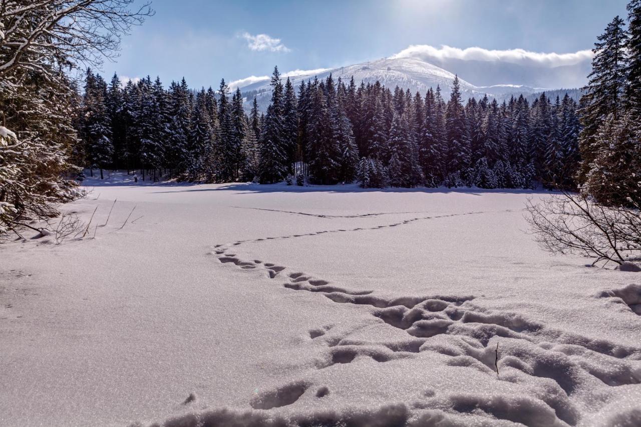 Chata Nella - Jasna Demänovská Dolina Dış mekan fotoğraf